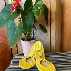 *NWT* The Storehouse Flats size 10